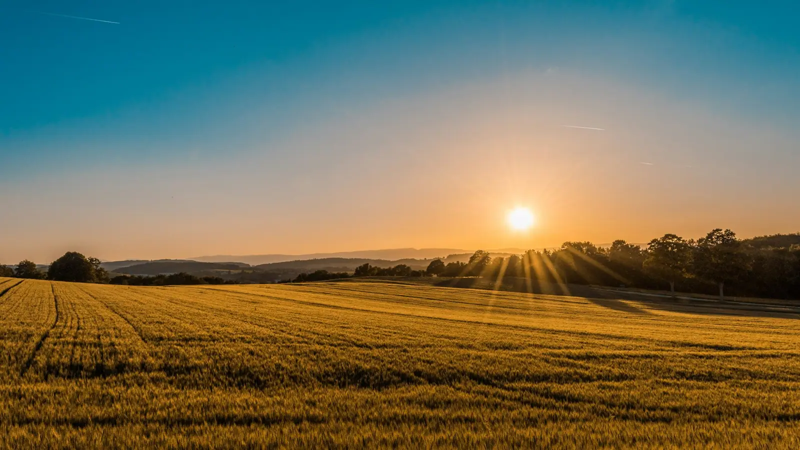 The Texas hills at golden hour